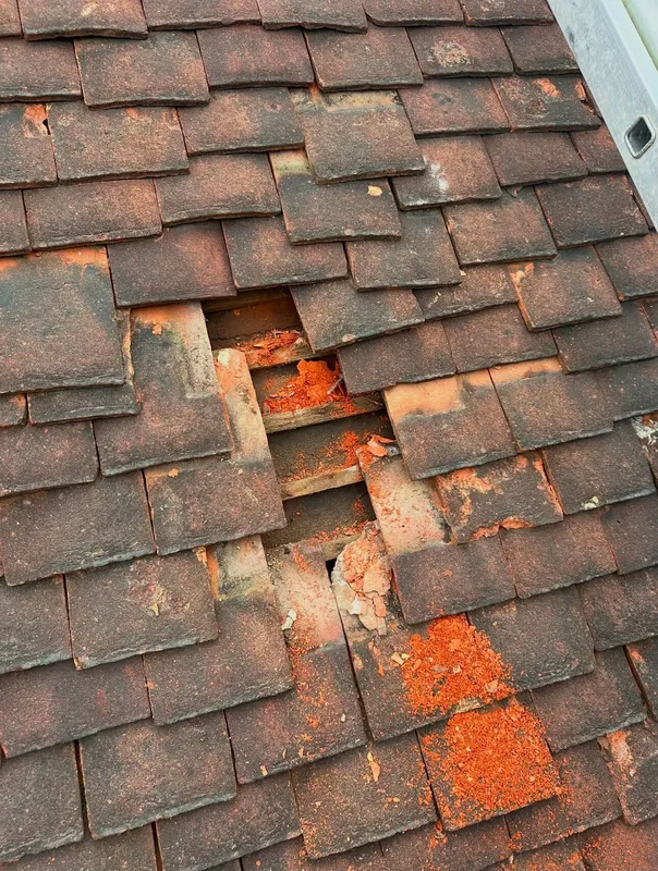 Damaged roof tiles requiring urgent repair